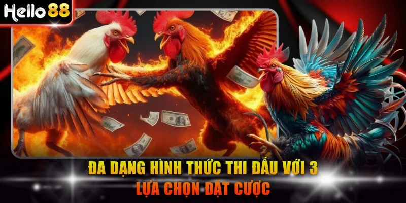 Đa dạng hình thức thi đấu với 3 lựa chọn đặt cược