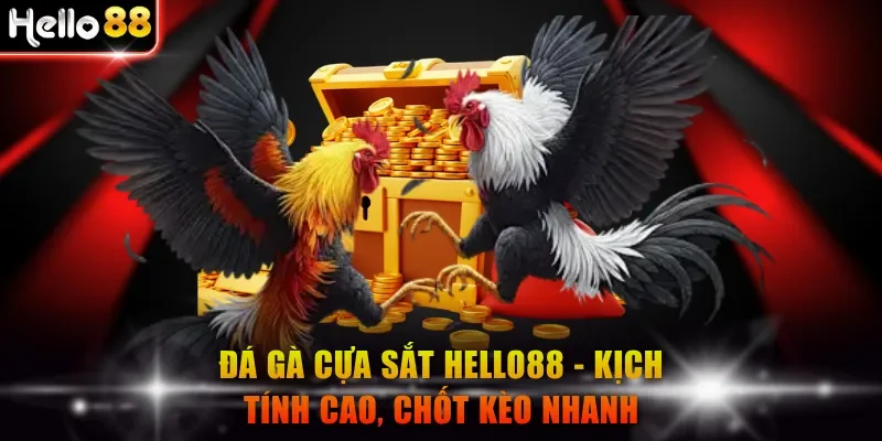 Đá gà cựa sắt