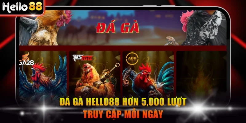 Đá gà Hello88 hơn 5,000 lượt truy cập mỗi ngày